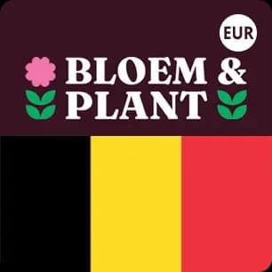 Bloem & Plant Gift Cards