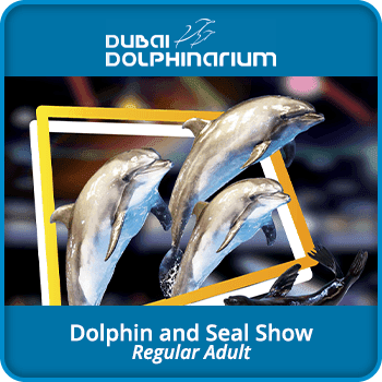 Dubai Dolphinarium Dolphin and Seal Show – Regular Child