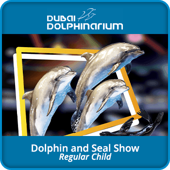 Dubai Dolphinarium Dolphin and Seal Show - Regular Adult