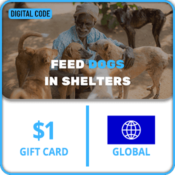Feed stray dogs in shelters Gift Card GLOBAL 1 USD