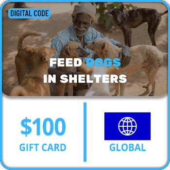 Feed stray dogs in shelters Gift Card GLOBAL 100 USD