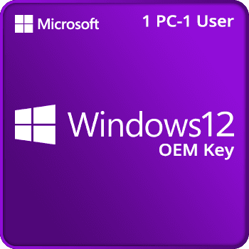 Windows 12 OEM Key 1pc 1 user